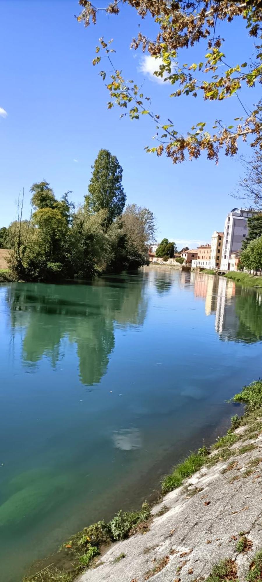 Apartamento Amalteo 3 Treviso Exterior foto